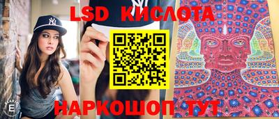 спиды Можга
