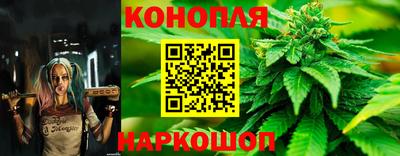метадон Моздок