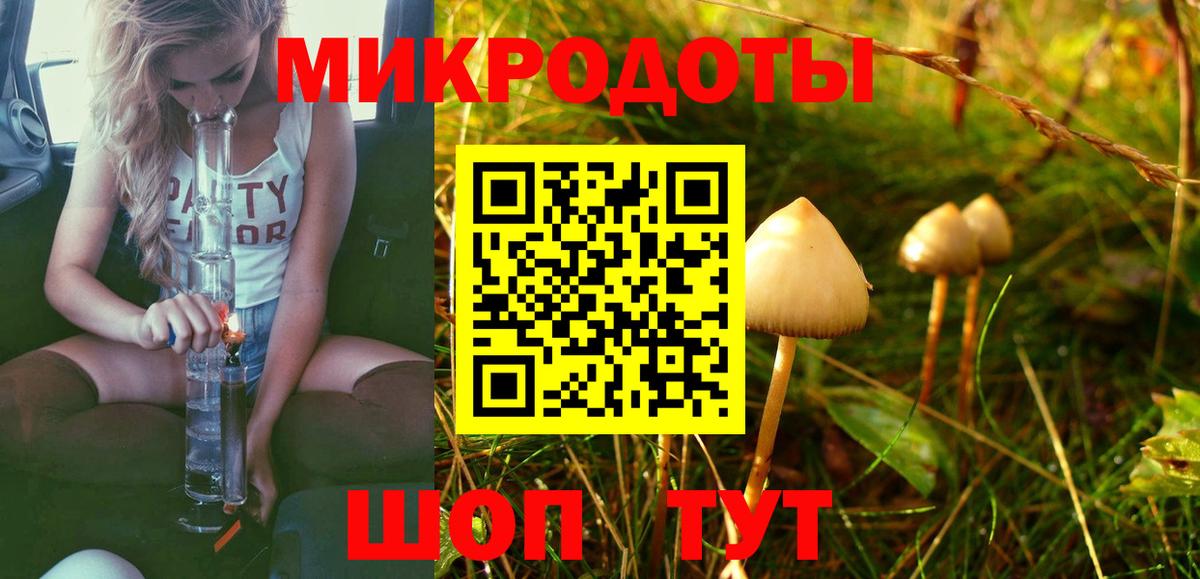 Галлюциногенные грибы прущие грибы Среднеуральск